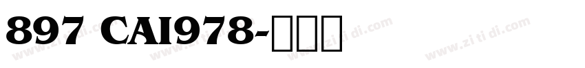 897 CAI978字体转换